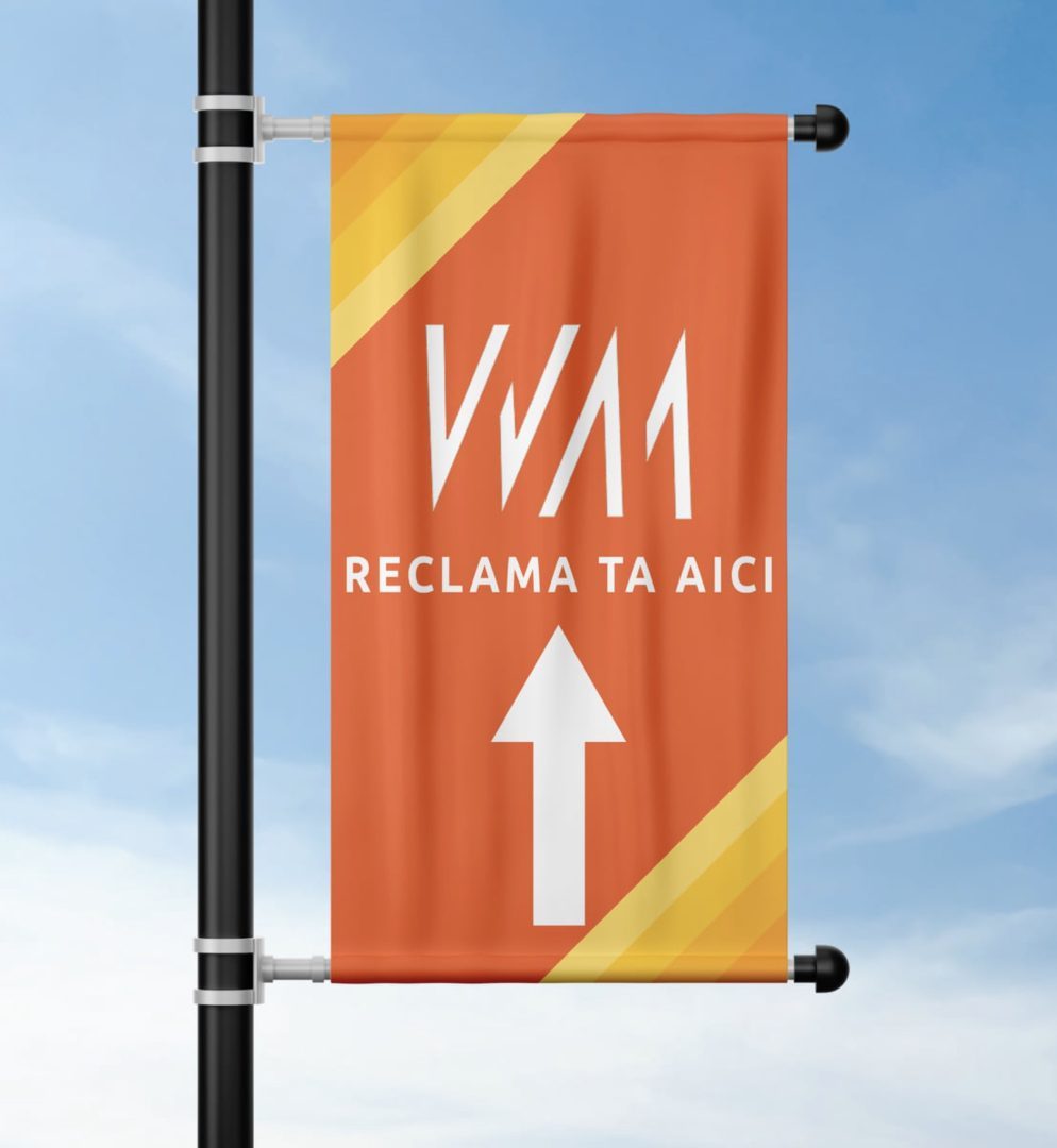 Way-Structuri SRL, Antoanela Vasilescu și Radu Vasilescu – investigație despre montarea de steaguri publicitare ilegale în București